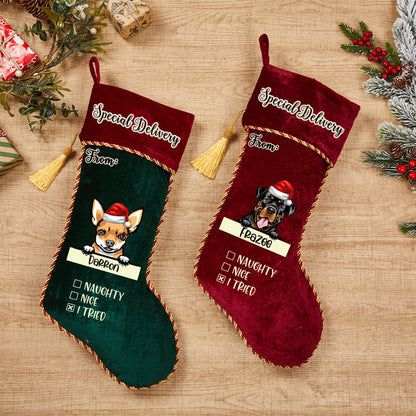 Special Delivery From Dog - Personalized Dogs Christmas Stocking