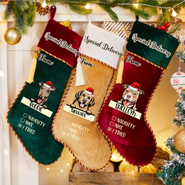 Special Delivery From Dog - Personalized Dogs Christmas Stocking