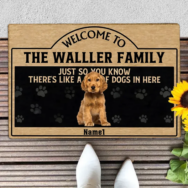 Personalized Floor Mats Customized Pet Photos and Names Simple Home Decor