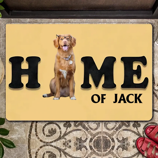 Personalized Family Name Floor Mat With Pet Photo Face